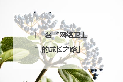 一名“网络卫士”的成长之路
