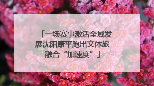 一场赛事激活全域发展沈阳康平跑出文体旅融合“加速度”