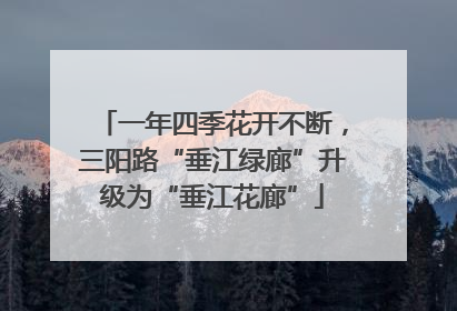 一年四季花开不断，三阳路“垂江绿廊”升级为“垂江花廊”