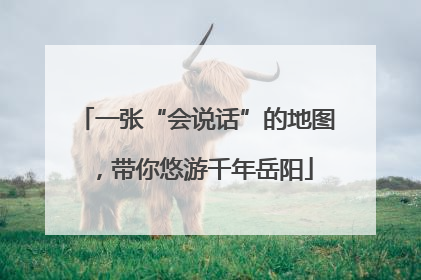 一张“会说话”的地图，带你悠游千年岳阳