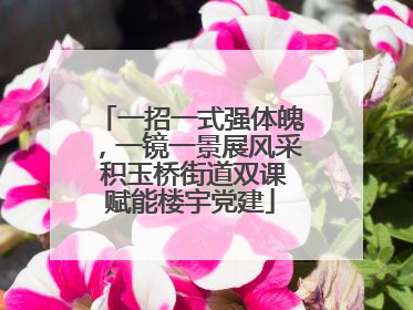 一招一式强体魄，一镜一景展风采 积玉桥街道双课赋能楼宇党建