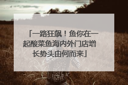 一路狂飙！鱼你在一起酸菜鱼海内外门店增长势头由何而来