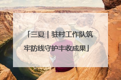 三夏｜驻村工作队筑牢防线守护丰收成果