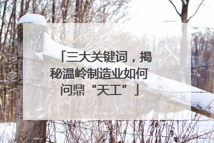 三大关键词，揭秘温岭制造业如何问鼎“天工”