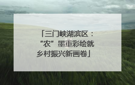 三门峡湖滨区：“农”墨重彩绘就乡村振兴新画卷