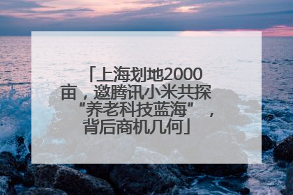 上海划地2000亩，邀腾讯小米共探“养老科技蓝海”，背后商机几何