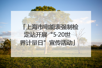 上海市电能表强制检定站开展“5·20世界计量日”宣传活动