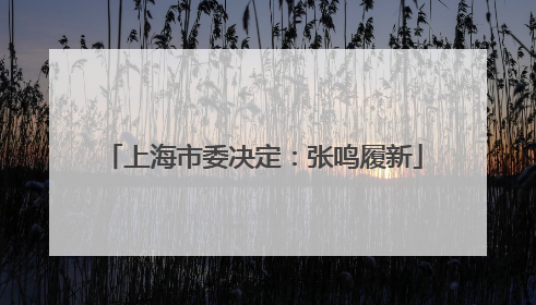 上海市委决定：张鸣履新