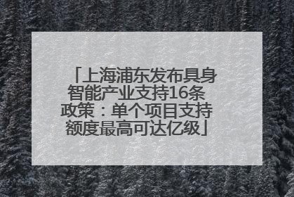 上海浦东发布具身智能产业支持16条政策：单个项目支持额度最高可达亿级