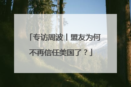 专访周波丨盟友为何不再信任美国了？