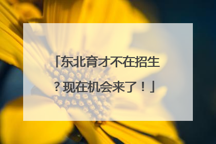 东北育才不在招生？现在机会来了！