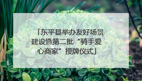 东平县举办友好场景建设暨第二批“骑手爱心商家”授牌仪式