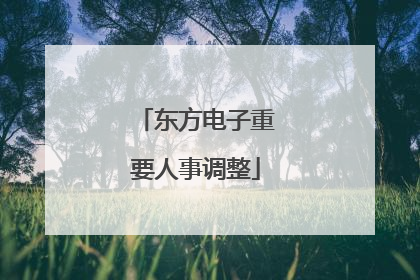 东方电子重要人事调整