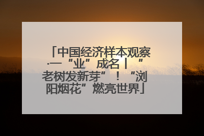 中国经济样本观察·一“业”成名丨“老树发新芽”！“浏阳烟花”燃亮世界