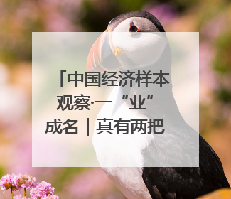 中国经济样本观察·一“业”成名｜真有两把刷子！“刷”出30亿级“颜值经济”