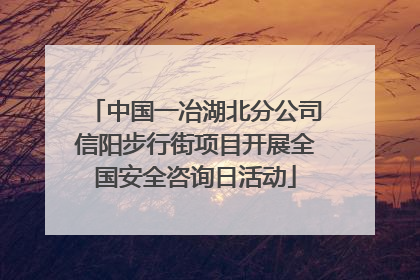 中国一冶湖北分公司信阳步行街项目开展全国安全咨询日活动