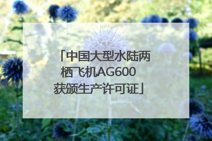 中国大型水陆两栖飞机AG600获颁生产许可证