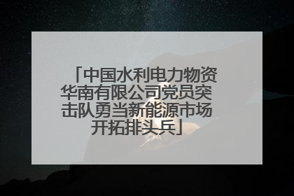 中国水利电力物资华南有限公司党员突击队勇当新能源市场开拓排头兵