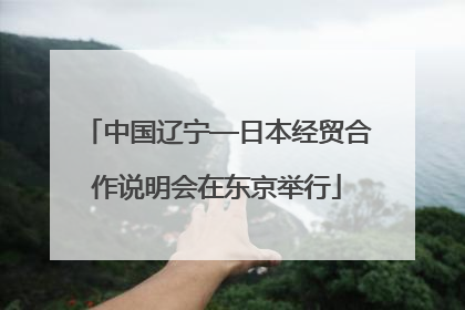 中国辽宁—日本经贸合作说明会在东京举行