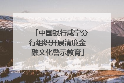 中国银行咸宁分行组织开展清廉金融文化警示教育