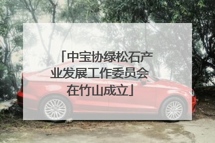 中宝协绿松石产业发展工作委员会在竹山成立