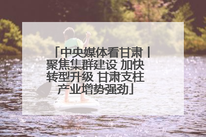 中央媒体看甘肃丨聚焦集群建设 加快转型升级 甘肃支柱产业增势强劲
