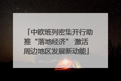 中欧班列密集开行助推“落地经济” 激活周边地区发展新动能