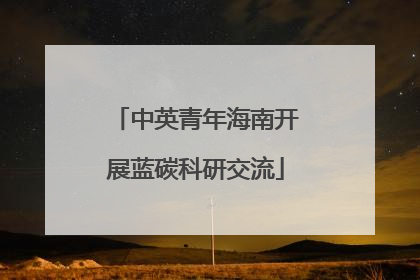 中英青年海南开展蓝碳科研交流