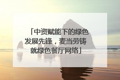中资赋能下的绿色发展先锋，麦当劳铸就绿色餐厅网络