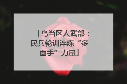 乌当区人武部：民兵轮训淬炼“多面手”力量