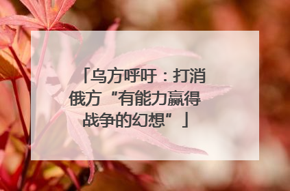 乌方呼吁：打消俄方“有能力赢得战争的幻想”