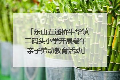 乐山五通桥牛华镇二码头小学开展端午亲子劳动教育活动
