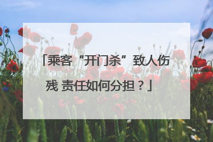 乘客“开门杀”致人伤残 责任如何分担？