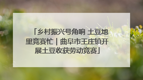 乡村振兴号角响 土豆地里竞赛忙｜曲阜市王庄镇开展土豆收获劳动竞赛