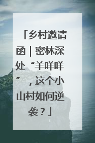 乡村邀请函｜密林深处“羊咩咩”，这个小山村如何逆袭？