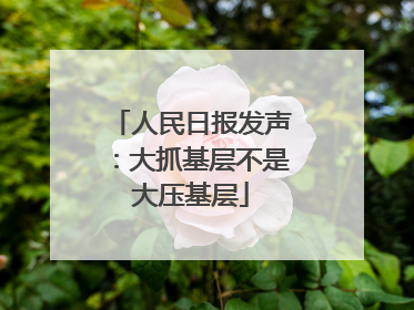人民日报发声：大抓基层不是大压基层