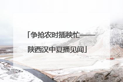 争抢农时插秧忙——陕西汉中夏播见闻