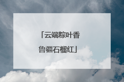 云端粽叶香 鲁疆石榴红