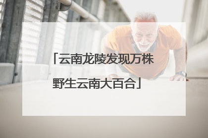 云南龙陵发现万株野生云南大百合