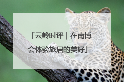 云岭时评｜在南博会体验旅居的美好