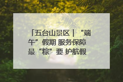 五台山景区｜“端午”假期 服务保障最“粽”要 护航假期“不打烊”