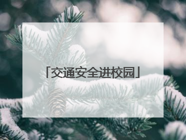 交通安全进校园
