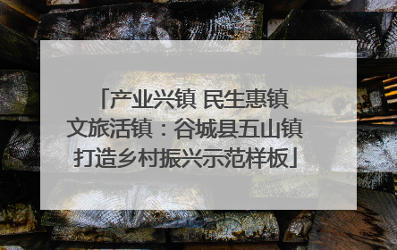 产业兴镇 民生惠镇 文旅活镇：谷城县五山镇打造乡村振兴示范样板