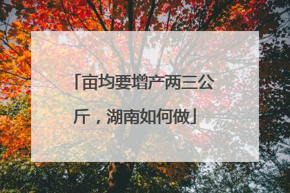 亩均要增产两三公斤，湖南如何做