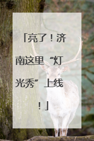 亮了！济南这里“灯光秀”上线！