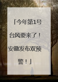 今年第1号台风要来了！安徽发布双预警！