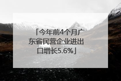 今年前4个月广东省民营企业进出口增长5.6%