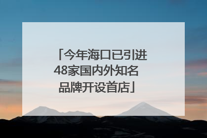 今年海口已引进48家国内外知名品牌开设首店