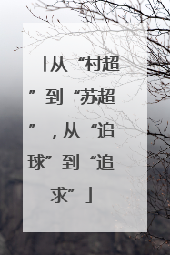 从“村超”到“苏超”，从“追球”到“追求”