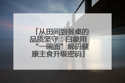 从田间到餐桌的品质坚守：白象用“一碗面”解码健康主食升级密码